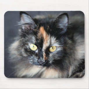Siberian Cat Mouse Pad