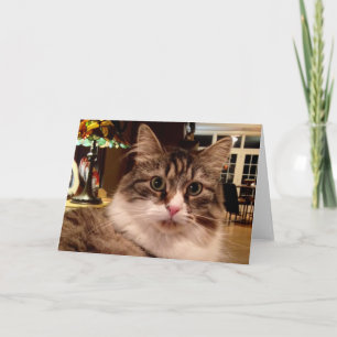 Siberian Cat Note Card