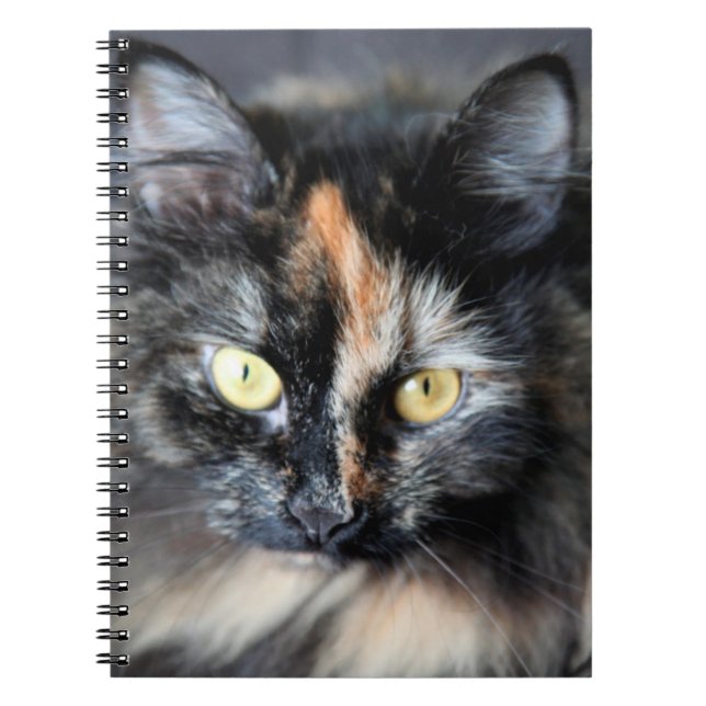Siberian Cat Notebook (Front)