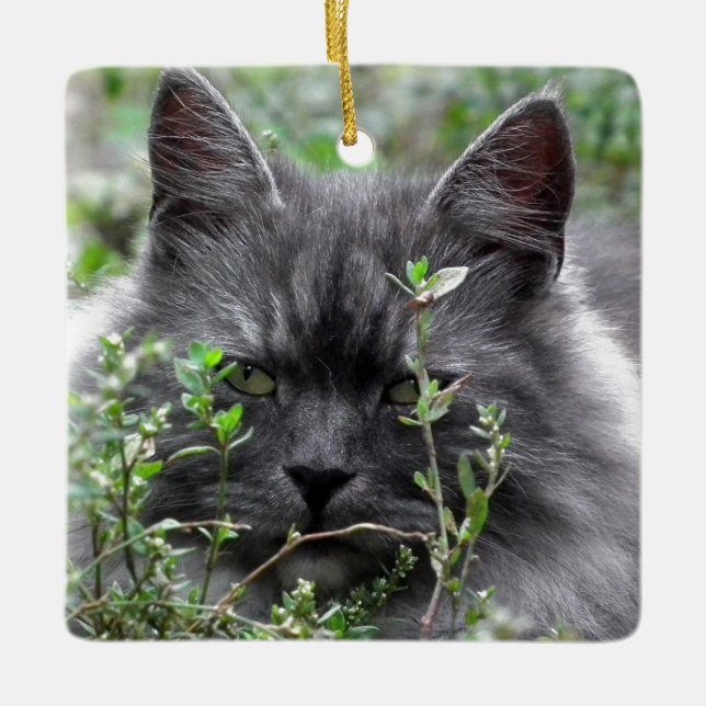Siberian | Cat Portrait Ceramic Tree Decoration (Front)
