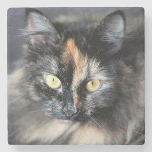 Siberian Cat Stone Coaster