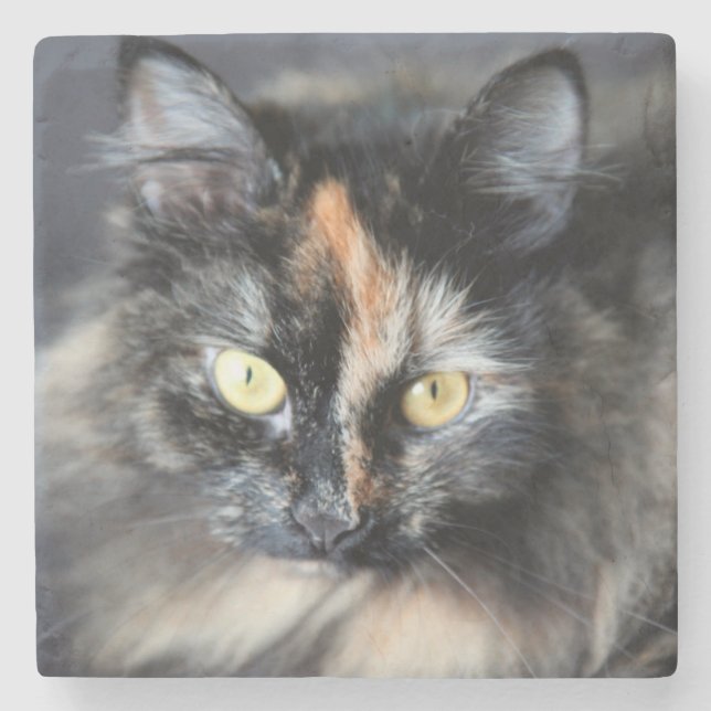 Siberian Cat Stone Coaster (Front)