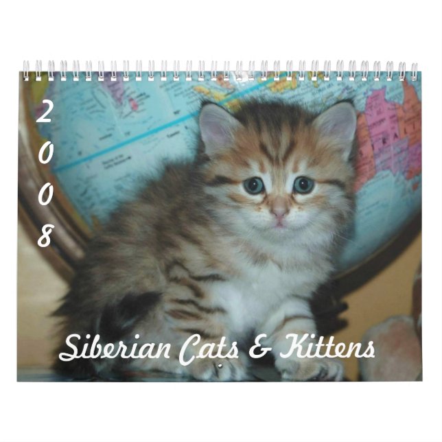 Siberian CATS & KITTENS CAL2008 Calendar (Cover)