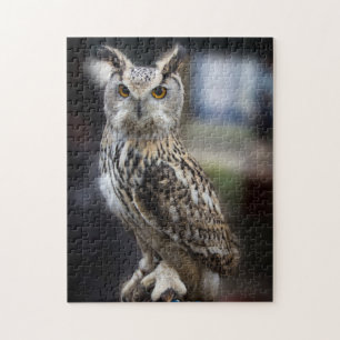 Siberian Eagle Owl Jigsaw Puzzle