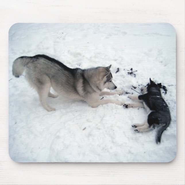 Siberian Huskies - Mousepad (Front)