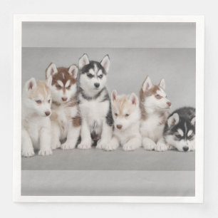 Siberian Huskies Paper Napkins