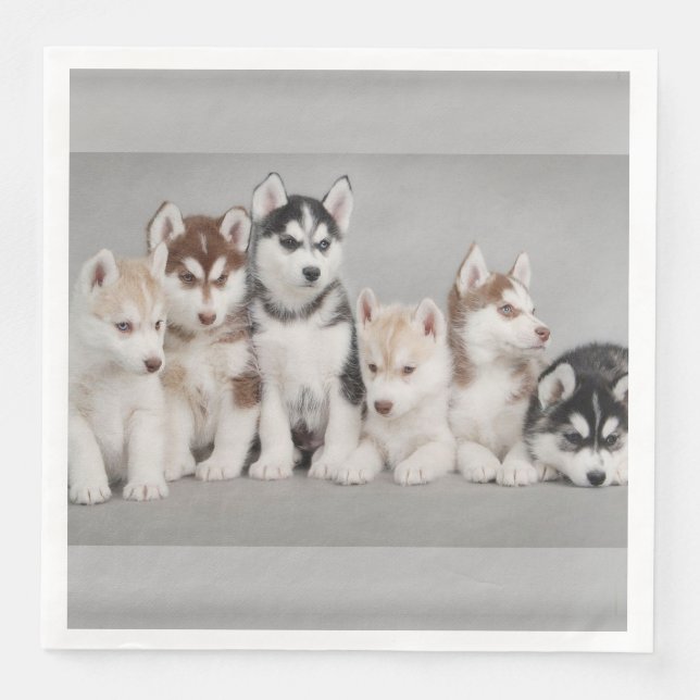 Siberian Huskies Paper Napkins (Front)