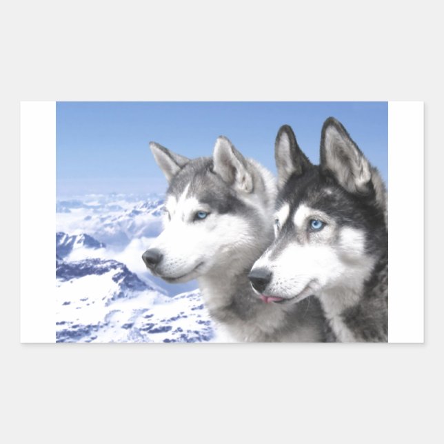 Siberian Huskies Rectangular Sticker (Front)