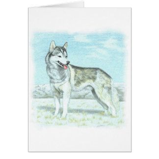 Siberian Husky