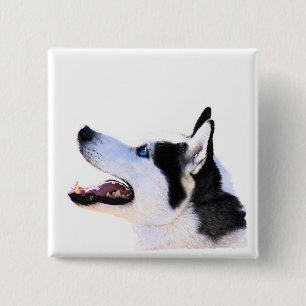 siberian husky 15 cm square badge