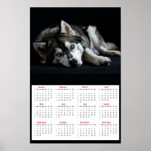 Siberian Husky 2025 Calendar  Poster