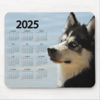 Siberian Husky 2025 Dog Calendar