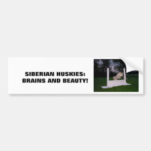Siberian HUSKY Agility Bumper Sticker