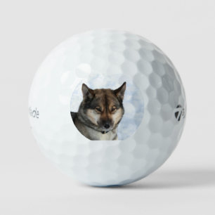 Siberian_Husky_agouti Golf Balls