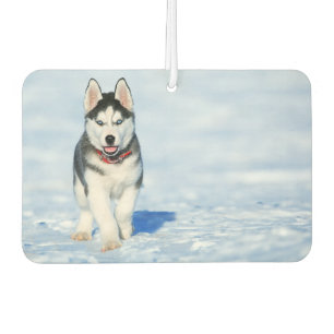Siberian Husky Air Freshener