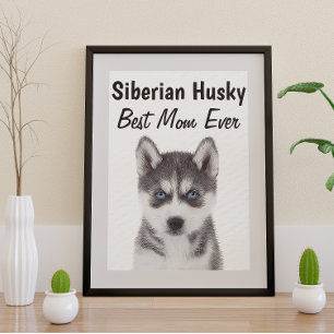 Siberian Husky Best Mum Poster