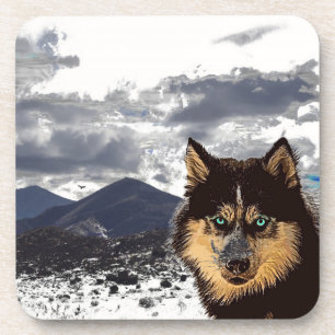 Siberian Husky Beverage Coaster