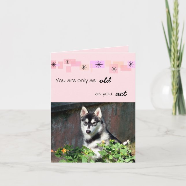 Siberian Husky Birthday Card (Front)