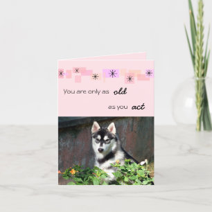 Siberian Husky Birthday Card
