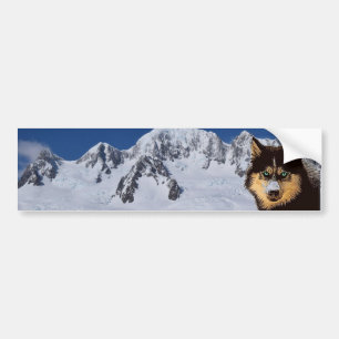 Siberian Husky Bumper Sticker