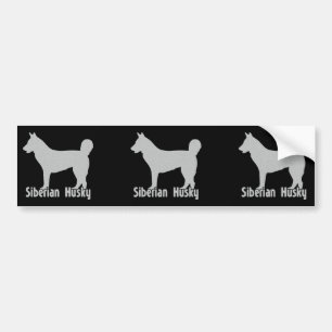 Siberian Husky Bumper Sticker