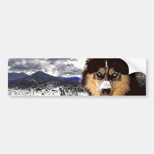 Siberian Husky Bumper Sticker