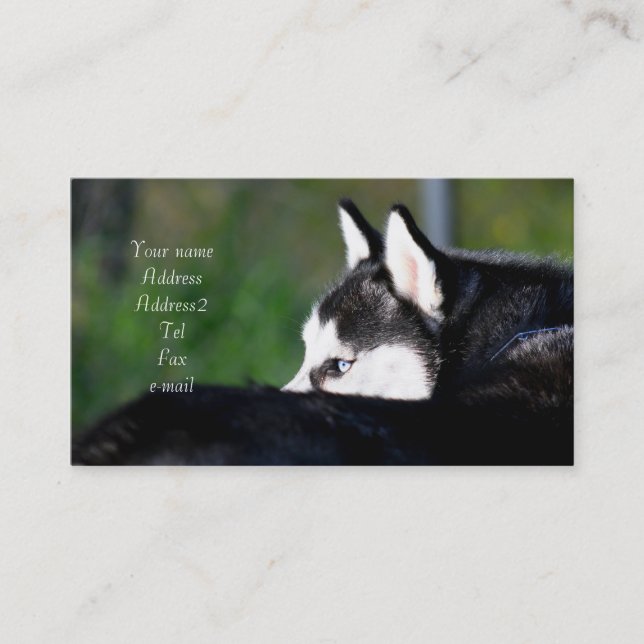 Siberian Husky business cards (Front)