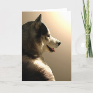 Siberian Husky Card / Alaskan Malamute Card