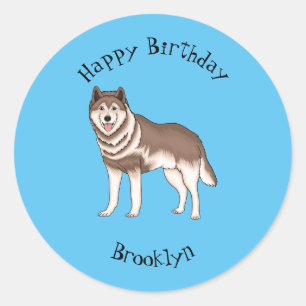 Siberian husky cartoon illustration   classic round sticker