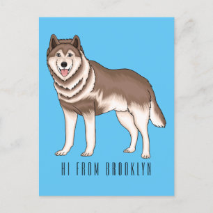 Siberian husky cartoon illustration postcard