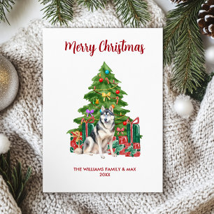Siberian Husky Christmas Card
