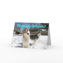 Siberian Husky Christmas Card