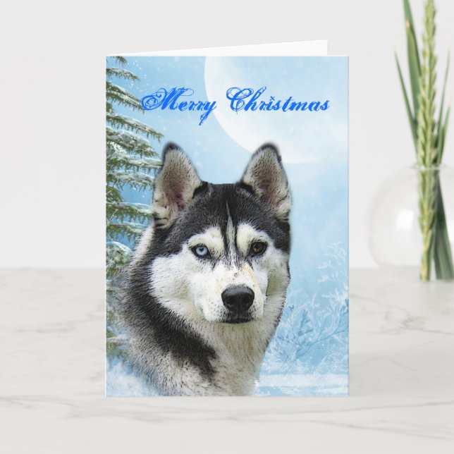 Siberian Husky Christmas Card (Front)