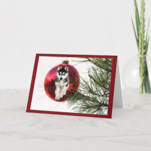 Siberian Husky Christmas Card Hanging Ball
