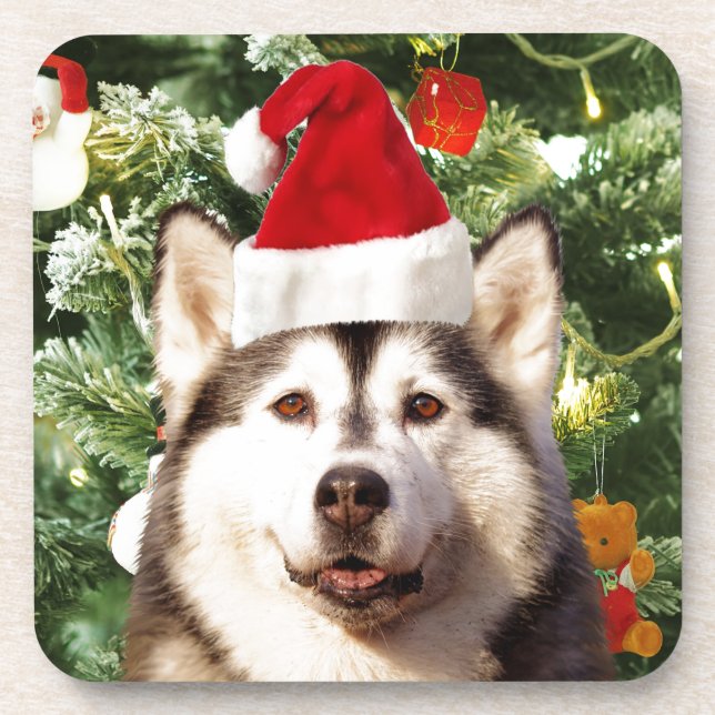 Siberian Husky Christmas Tree Ornaments Snowman Coaster (Front)