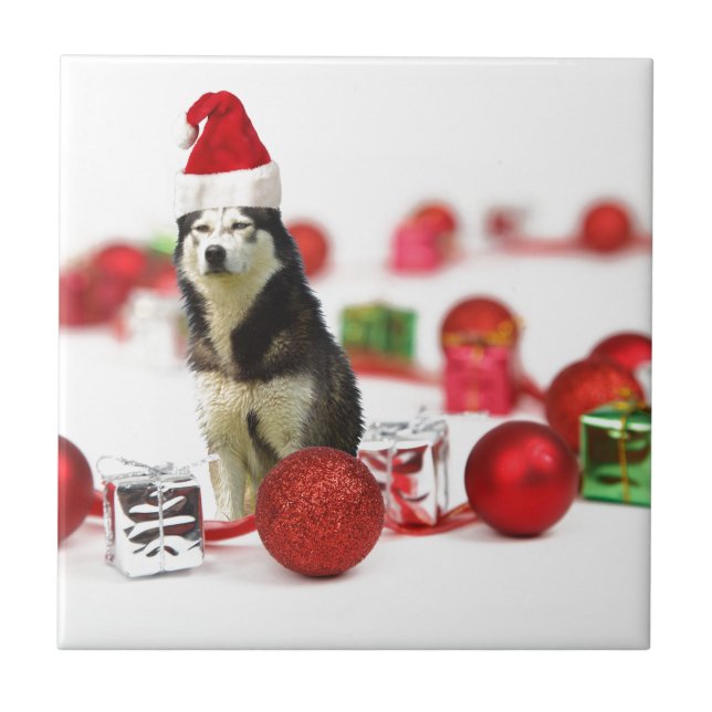 Siberian Husky Christmas with Ornament  Gift Box Ceramic Tile (Front)