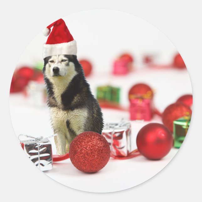 Siberian Husky Christmas with Ornament  Gift Box Classic Round Sticker (Front)