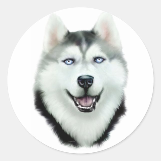 Siberian Husky Classic Round Sticker (Front)