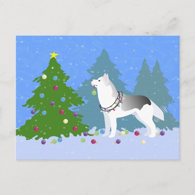 Siberian Husky Decorating Christmas Tree -Forest Holiday Postcard (Front)