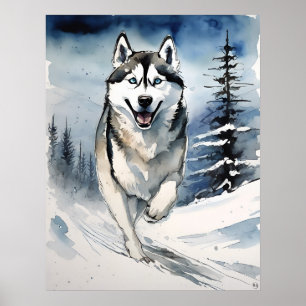 Siberian Husky - Dog Art Print