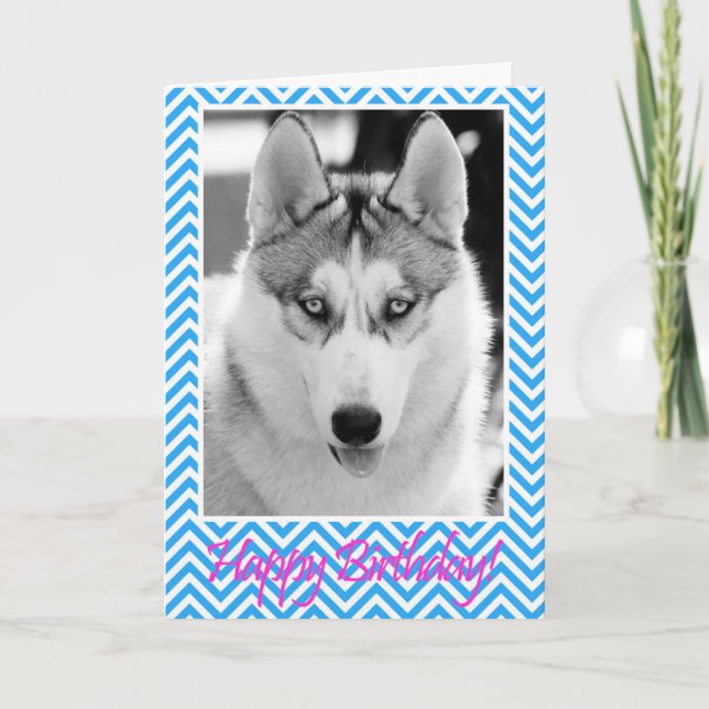 Siberian Husky Dog Blue Happy Birthday Card (Front)