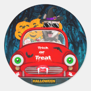 Siberian Husky Dog Driving Car Scary Halloween Classic Round Sticker