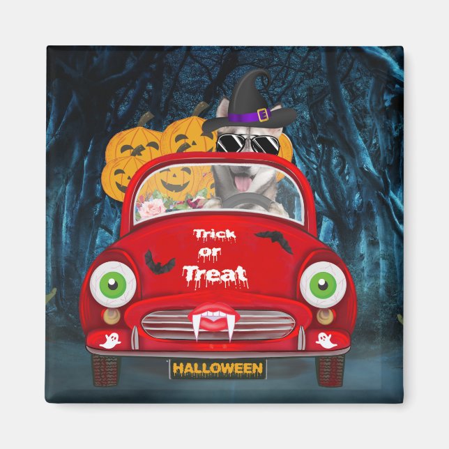 Siberian Husky Dog Driving Car Scary Halloween  Magnet (Front)