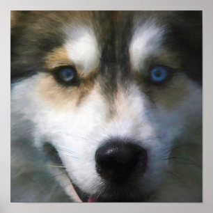 SIBERIAN HUSKY DOG “FAR EYES” POSTER