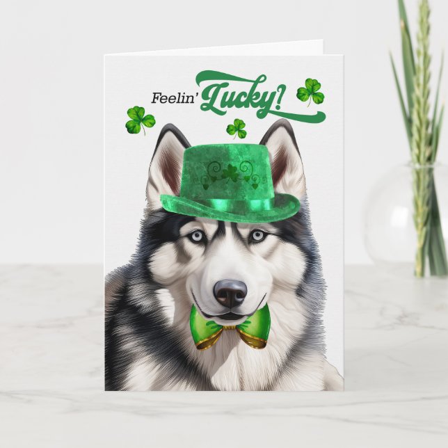 Siberian Husky Dog Feelin' Lucky St Patrick's Day Holiday Card (Front)