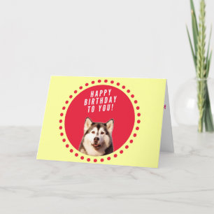 Siberian Husky Dog Happy Birthday Greeting Card
