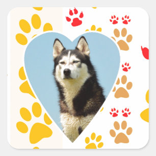 Siberian Husky Dog Heart Paws Print Square Sticker