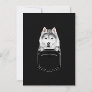 Siberian Husky Dog In Pocket  Funny Dog Lover Gift Invitation