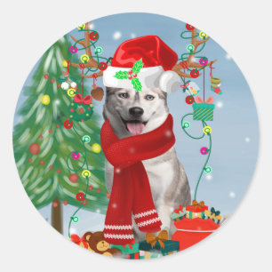 Siberian Husky Dog in Snow Christmas  Classic Round Sticker