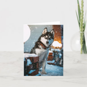Siberian Husky Dog Lover Holiday Christmas Card